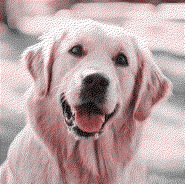 in GIF format displaying a golden retriever with only three  colors and dithering