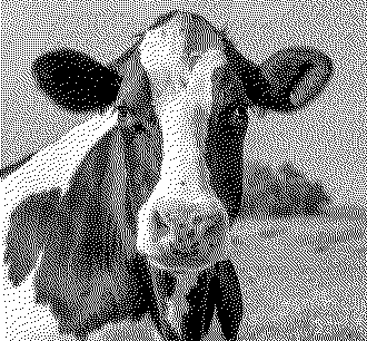 a painting of a very large cow.